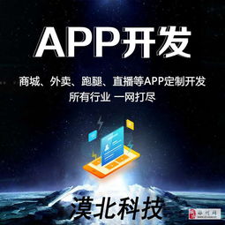 一家专业软件app小程序定制开发公司